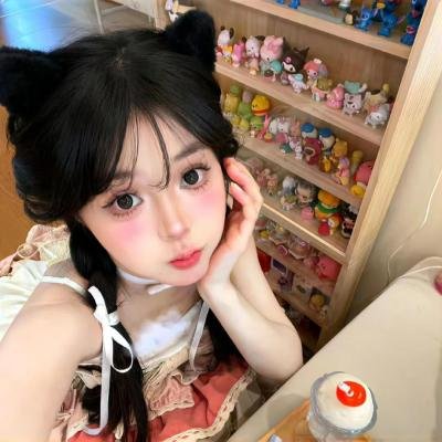 他是龙国语
